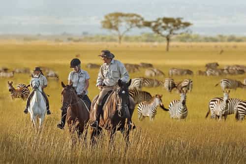 Horseback riding