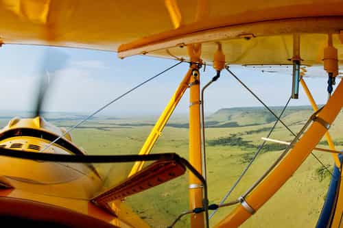 Flying safari