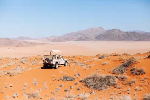 Desert exploring