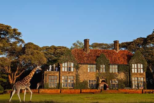 Giraffe Manor