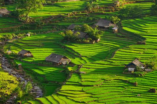 Vietnam
