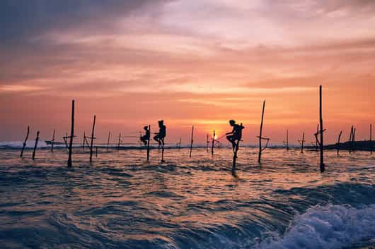 The South Coast
