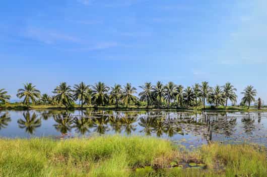 Koh Kong