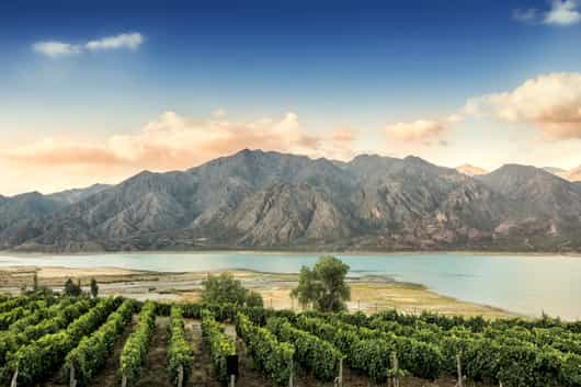 Mendoza