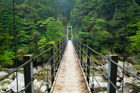 Yakushima Island