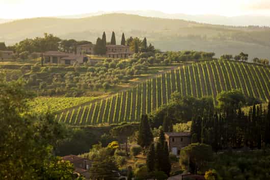 Chianti & Central Tuscany