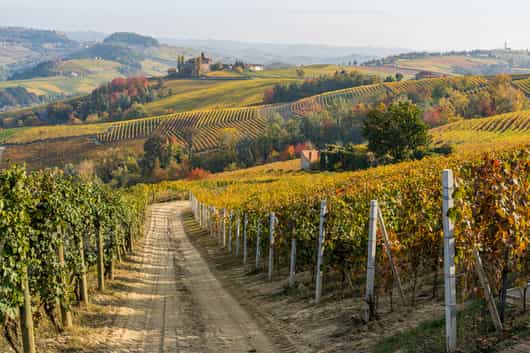 Langhe and Monferrato wine hills