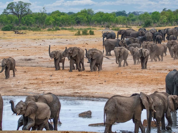 Travel Weekly — Timbuktu Travel featured in Travel Weekly