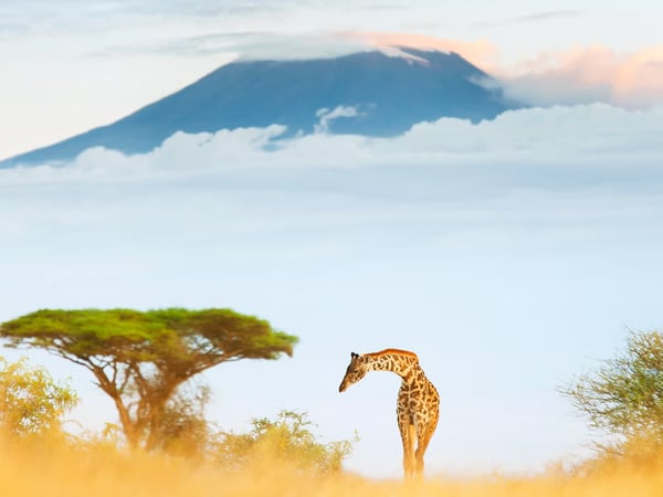 Oprah Daily — Timbuktu Travel featured in Oprah Daily