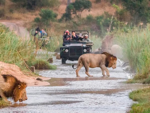 Travel + Leisure — Timbuktu Travel featured in Travel + Leisure
