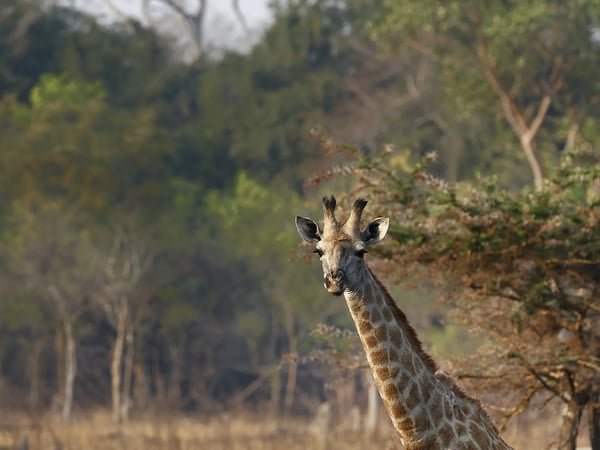 Conde Nast Traveller — Timbuktu Travel featured in Conde Nast Traveller