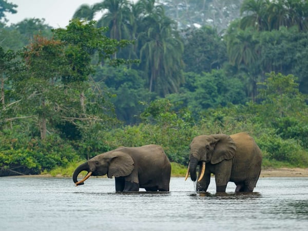 Travel + Leisure — Timbuktu Travel featured in Travel + Leisure