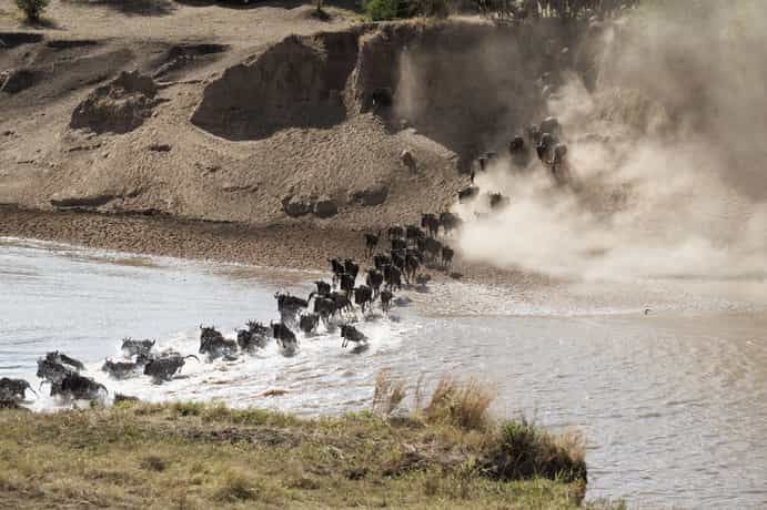 Gnu Mara Camp