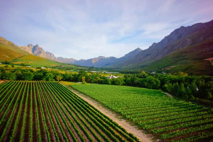 La Cabriere