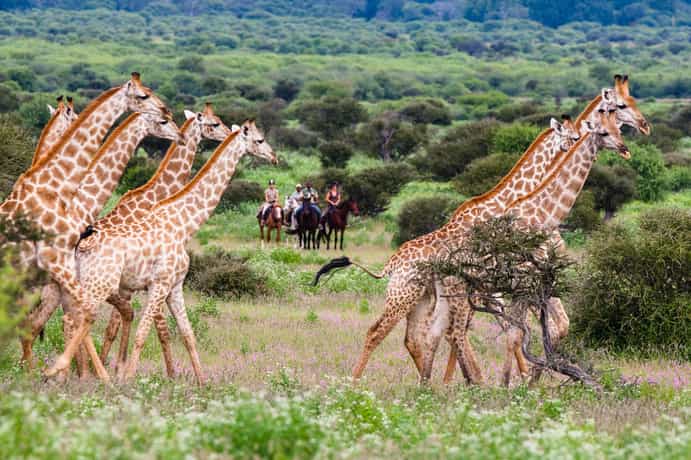 Serolo Safari Camp
