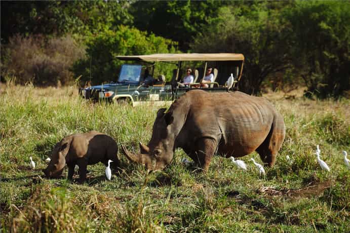 Elsa's Kopje Lodge