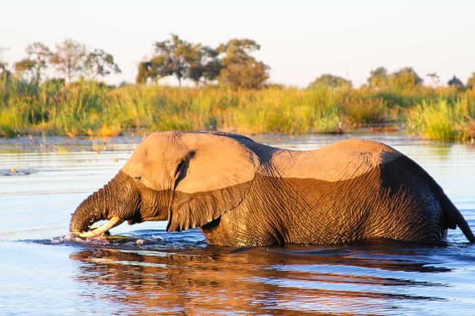 Chobe Water Villas