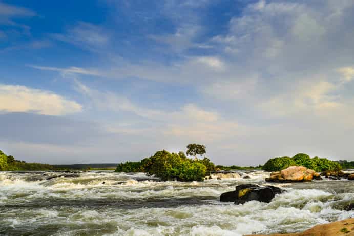 Mabira Rainforest Lodge