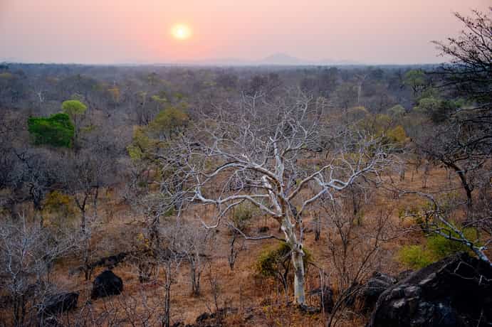 Thawela Tented camp