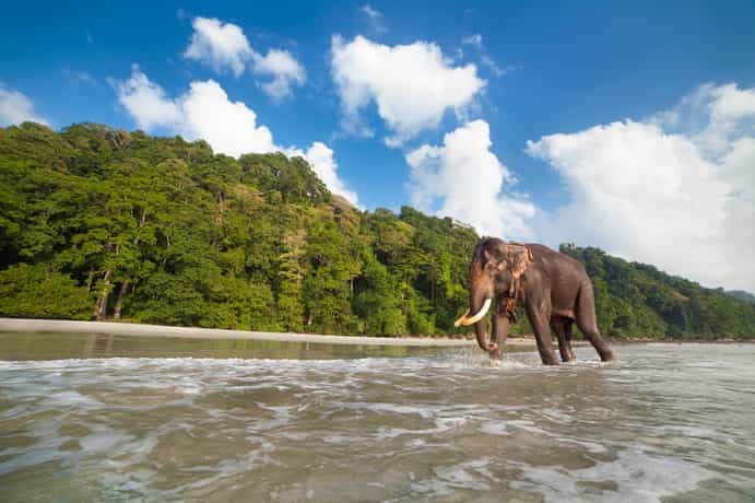 Tilar Siro, Andamans - CGH Earth