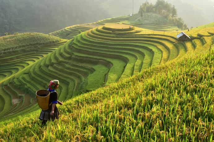 Sapa Mountain Resort, Affiliated by Meliá