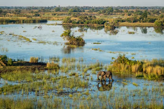Camp Okavango