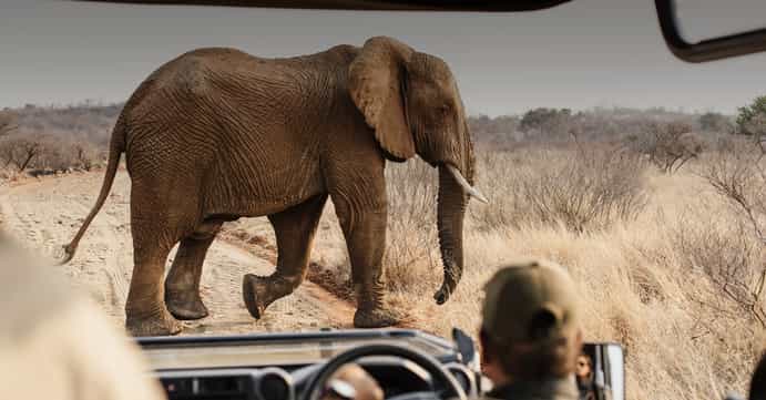 Black Rhino Game Lodge