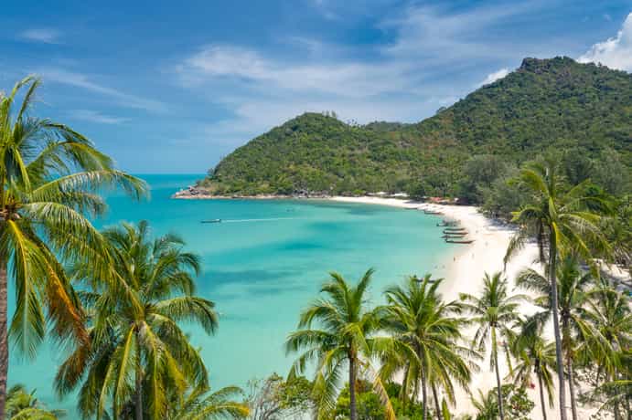 Kupu Kupu Phangan