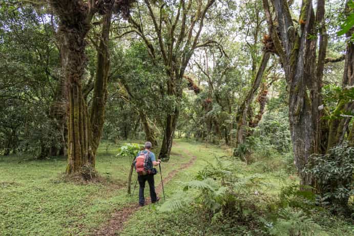 Udzungwa Forest Tented Camp