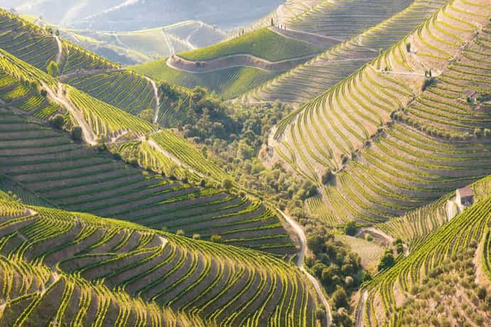 Octant Hotels Douro