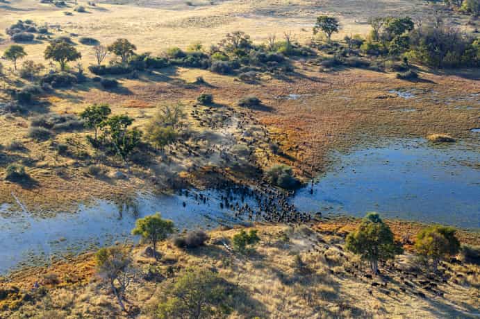 Tumani Tented Camp