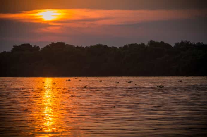 Jardim da Amazônia