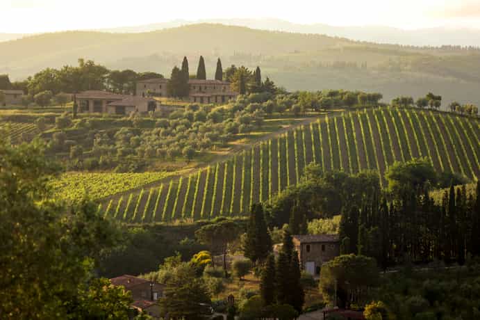 Castello di Ama