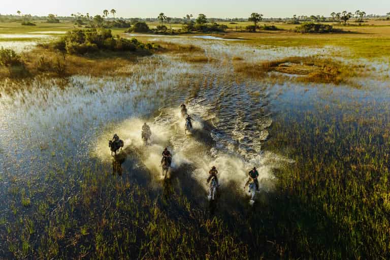 Horseback safari in the Okavango Delta