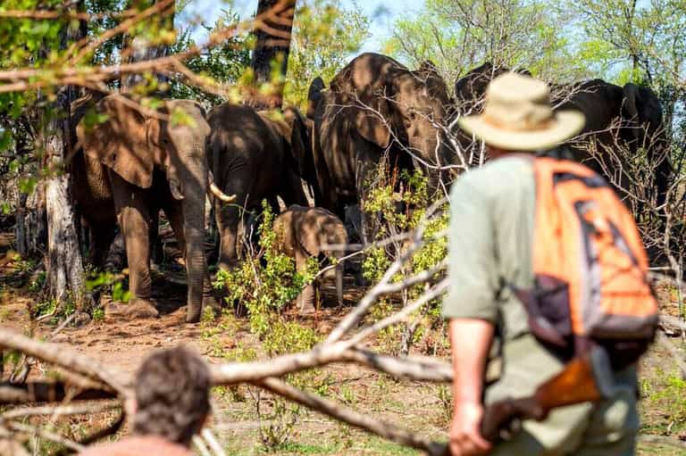 Get to know the bush on foot.