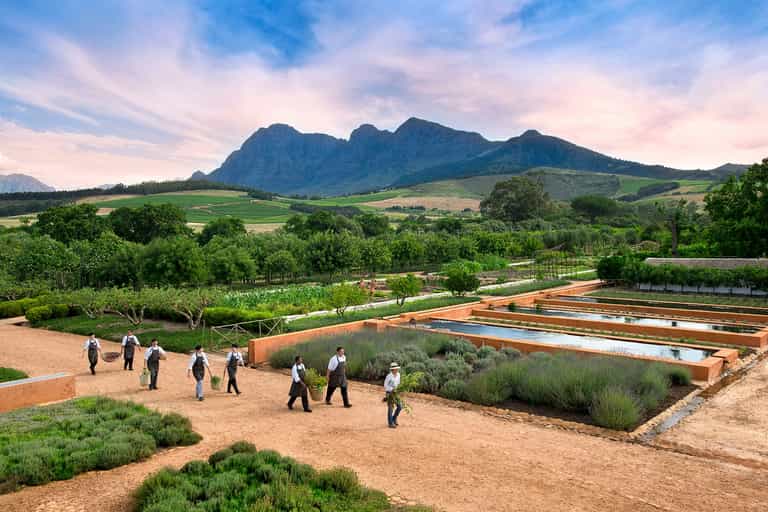 A tastebud-tickling, foodie tour of Franschhoek