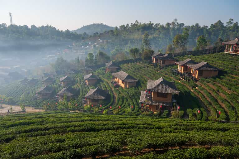 Explore the countryside and villages
