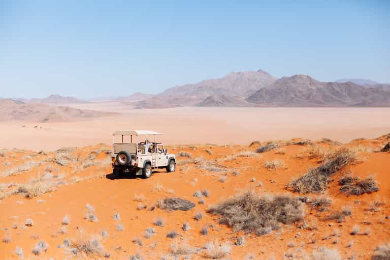 Desert exploring