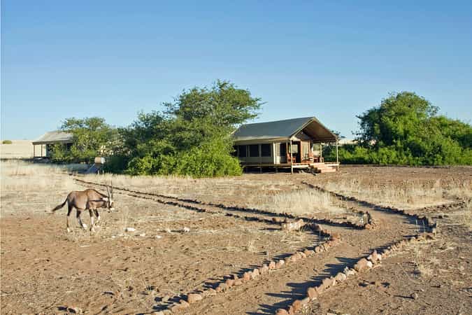 Desert Rhino Camp