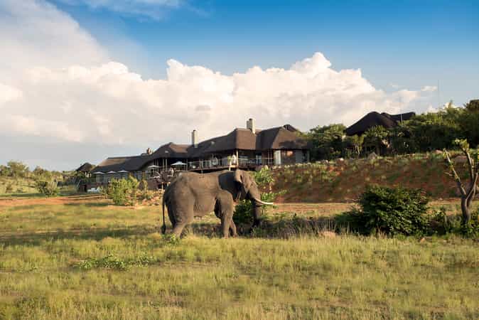 Mhondoro Safari Lodge & Villa