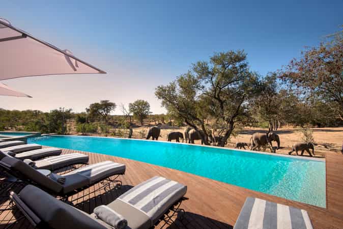 Ngala Safari Lodge