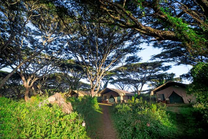 Lemala Ngorongoro Tented Camp