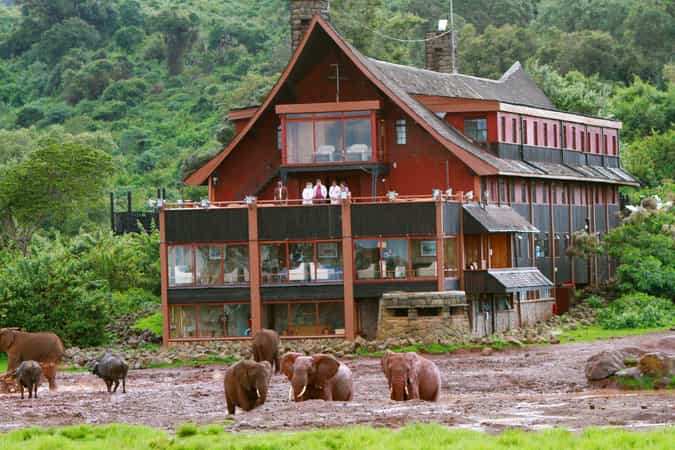 The Ark Lodge