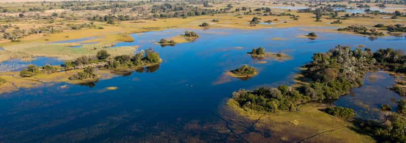 Endeavour Delta Safaris