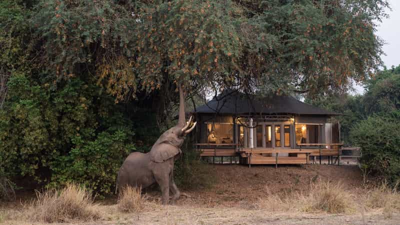 Chikwenya Safari Lodge