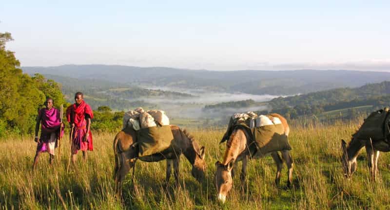 Oltyiani Trail