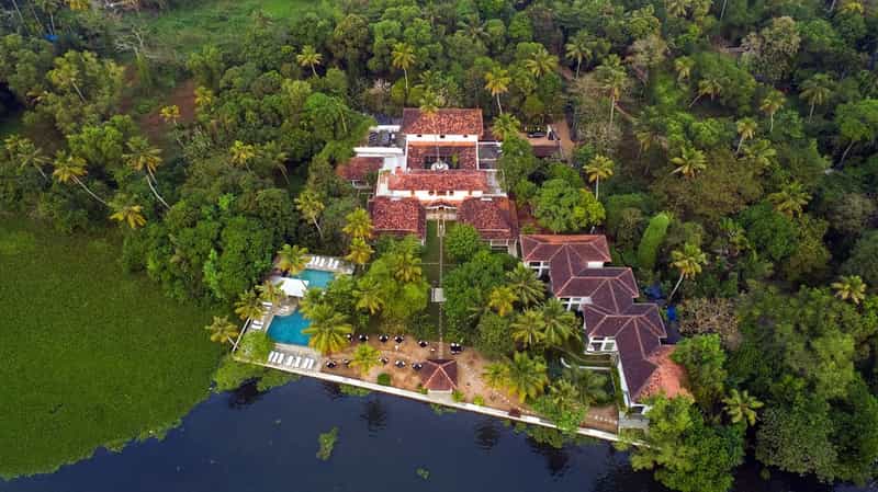 Purity Resort