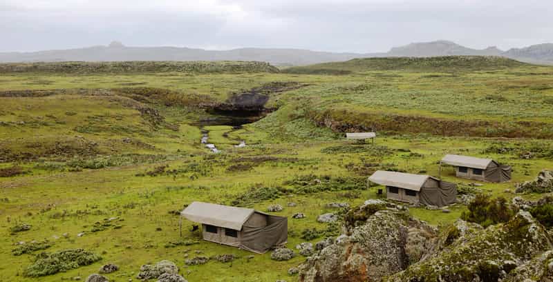 Bale Private Mobile Camp