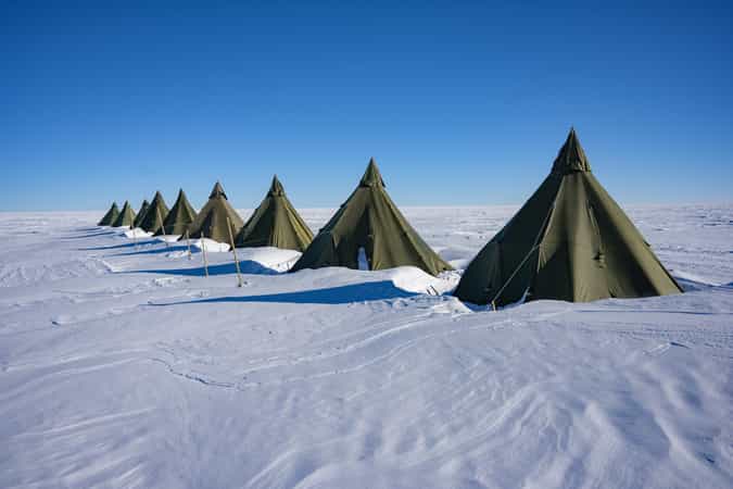 Dixie's Expedition Camp