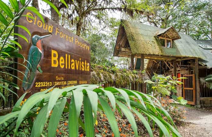 Bellavista Cloud Forest Reserve & Lodge